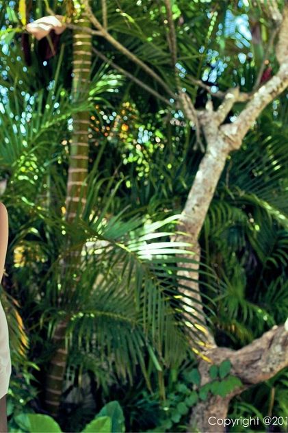 免费看网络毛片