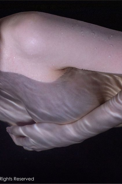 日韩爆乳若妻无码视频番号04